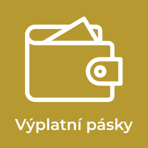 Výplatní pásky