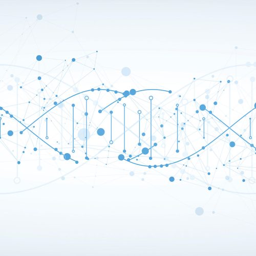 GEN DNA